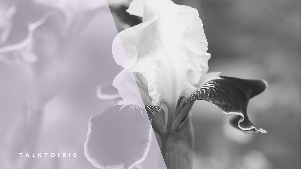 What are the 4 Stages of the Menstrual Cycle?