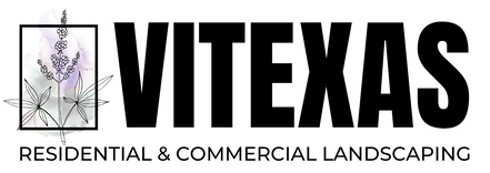 VITEXAS Logo (With Name & Add Color) II.png