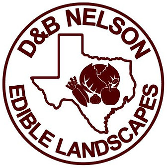 maroon logo.JPG