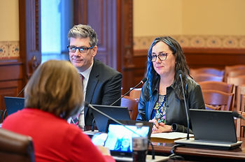 Rep. Kelly Cassidy presents HB 1715 during the IL House Child Welfare and Adoption Committee with NASW-IL Dir. Legislative Affairs - Kyle Hillman