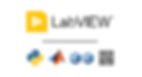 Software toolchain for the RIO platform
