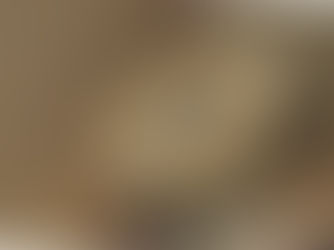 The Horror of TRM - Jacksonville Florida