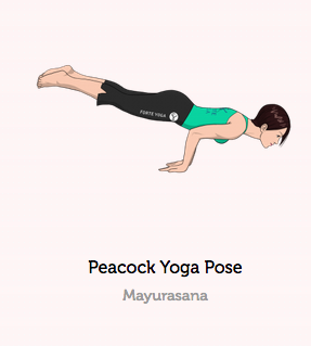Graphik mit einer Frau in Mayurasana