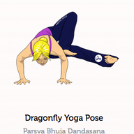 Graphik mit einer Frau in Parshva Bhuja Dandasana