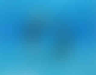 Synchronschwimerinnen brauchen einen besonders großen Atemvolumen.