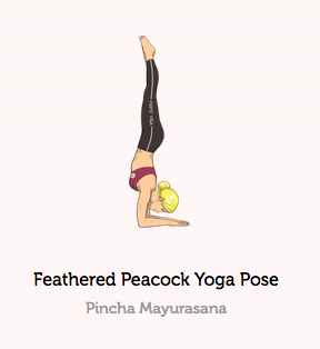 Graphik mit einer Frau in Pincha Mayurasana