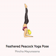 Graphik mit einer Frau in Pincha Mayurasana