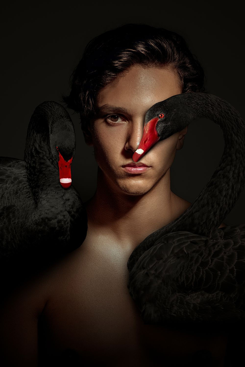 dark vision by Gert Kist, fine art photography print