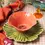 Thumbnail: Maria Flor Cosmos Dessert Plate 22 cm Bordallo Pinheiro