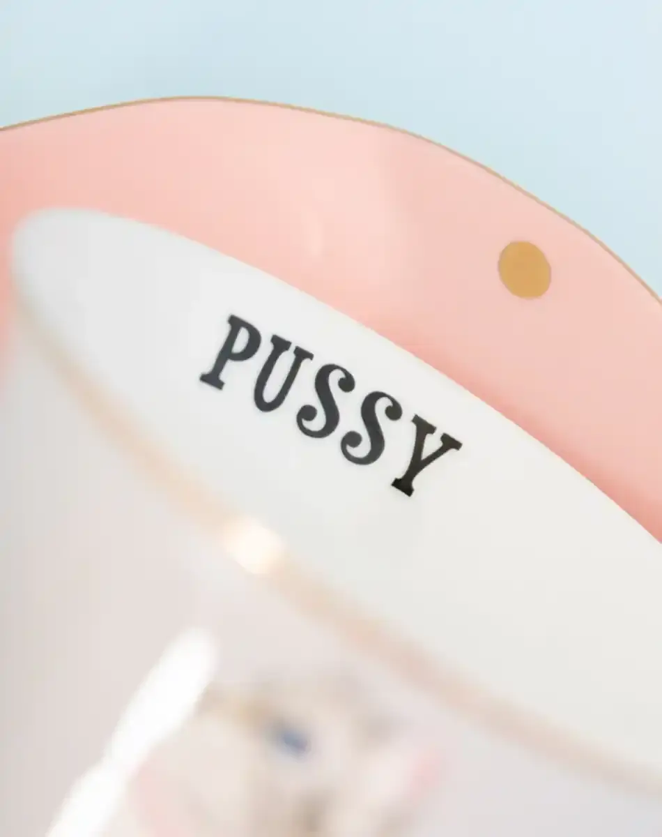 Thumbnail: pussy cat teacup and saucer from yvonne ellen