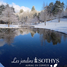 Natural active ingredients created by Les Jardins Sothys®..