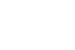 Eagle Strategies LLC