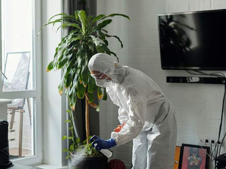 Why Professional House Cleaning Services in Gurgaon Are a Must for Busy Professionals