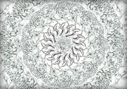 Rysunek_ołówek_grafiktowy_papier