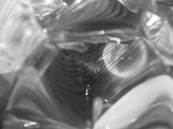 Fotografia abstrakcyjna