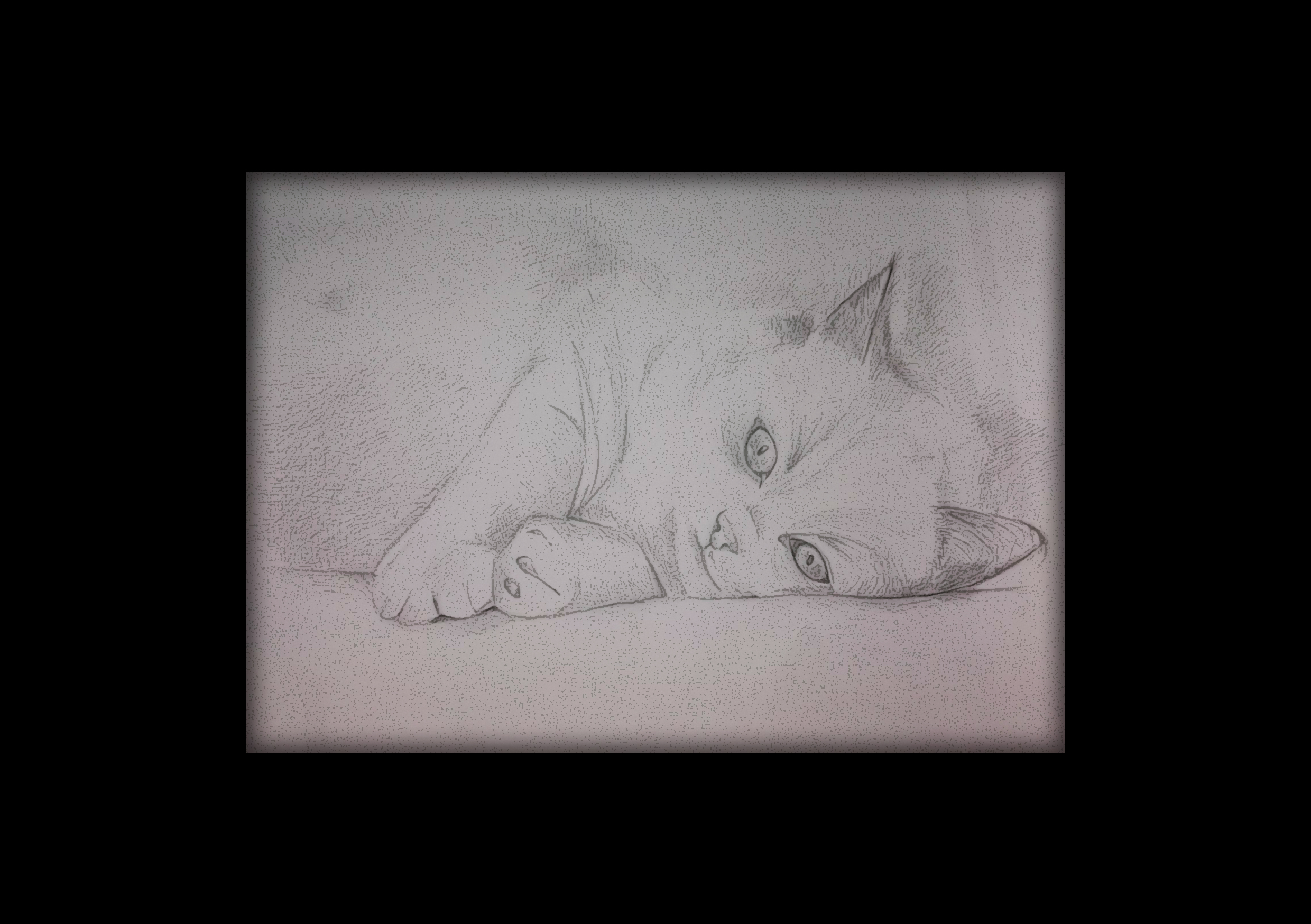 Edyta Gardynik Rysunek