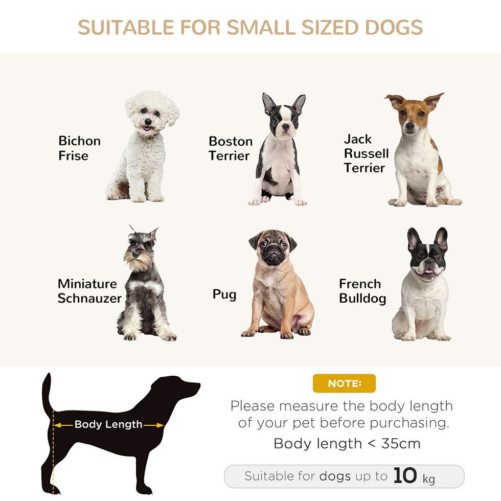 Thumbnail: Dog Sofa Bed Kitten Couch Lounge for Small-Sized Dogs, Soft Padded - Grey