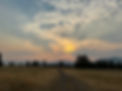 IMG_3397.jpg