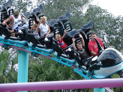 Shamu Express (2).jpg