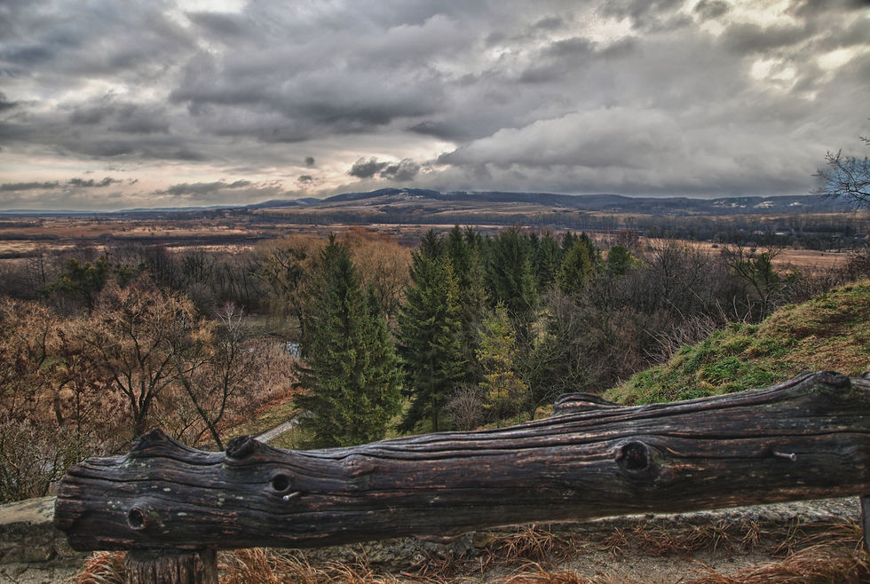 Carpathian mountains