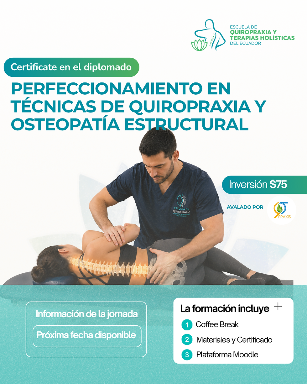 Prueba de Diseño Escuela (10).png