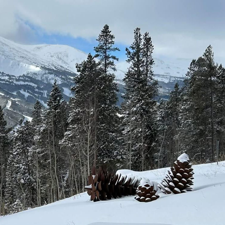 Mountain side pine cone decor