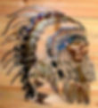 Indian Head Dress Wall Art