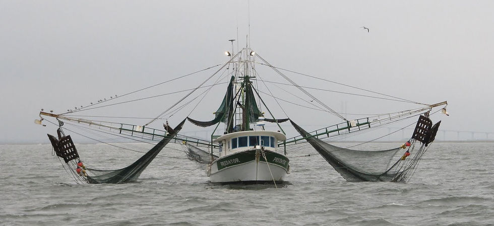 Shrimp Boat