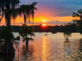 SwampScene