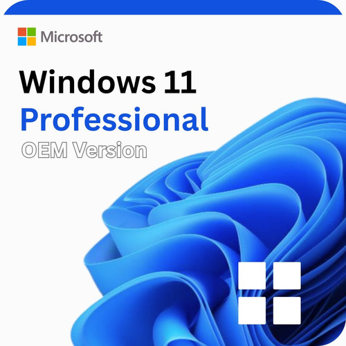Windows 11 Professional OEM version | Tech Licence