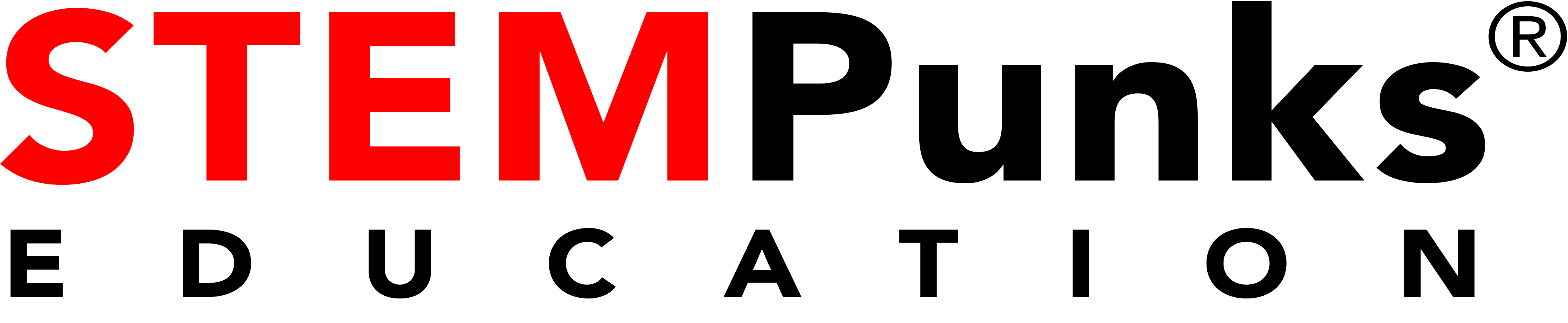 STEM Punks Education Logo.png