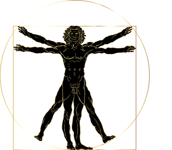 vitruve-vitalité-Neuroperformance-NRVIT