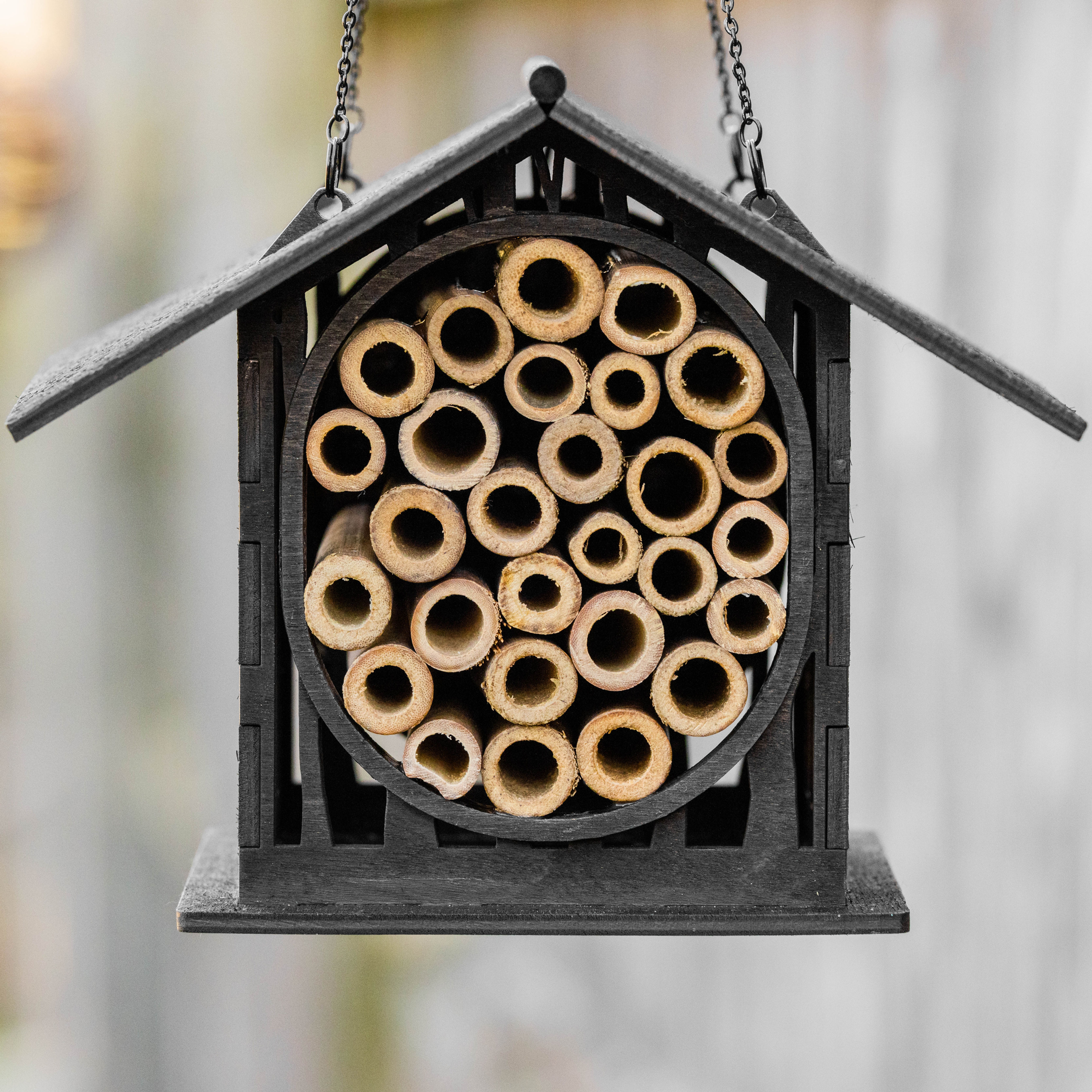 Hanging Bee Home