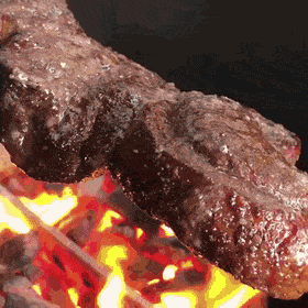 churrasco_grill