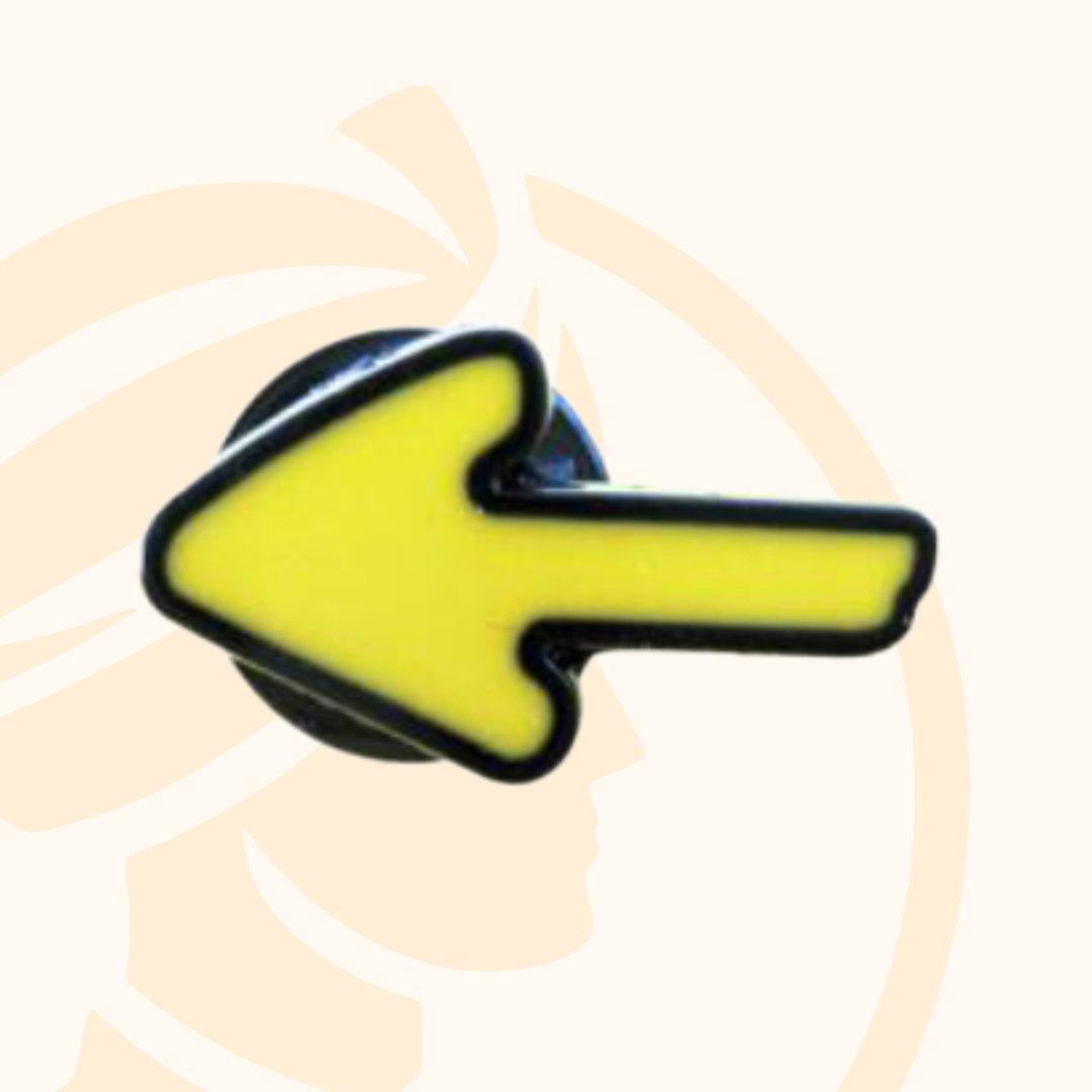 PIN Flecha Camino de Santiago