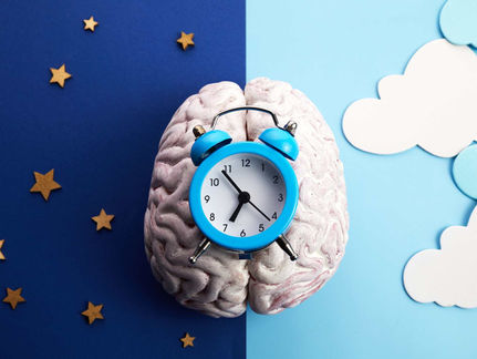Why you need to follow the circadian clock in perimenopause