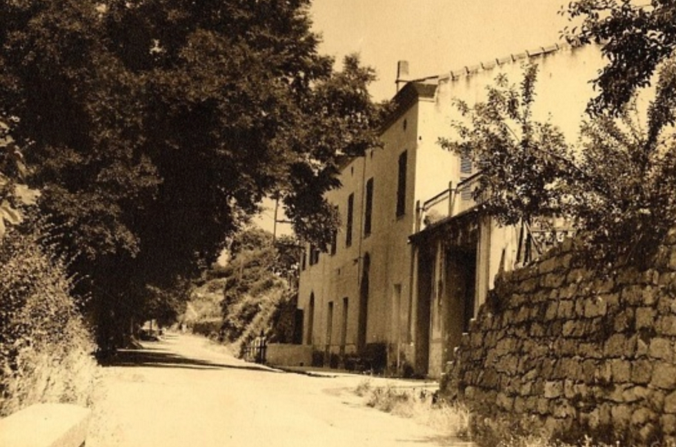 Ancienne bâtisse en pierre le long d'une route ombragée.