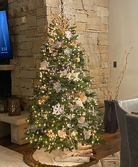 Waldorf Park City Christmas Tree