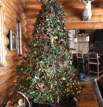 natural christmas trees woodland utah
