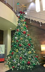 IMG_0974.jpeg
