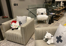 IMG_6527.jpeg