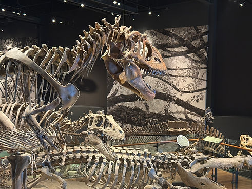 Dinosaur.jpg