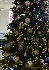 Christmas tree rental park city utah