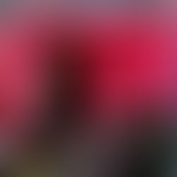 Multi-Family House on West Grand Avenue in Rahway Damaged by 2-Alarm Fire