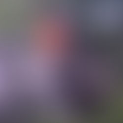 Linden, NJ - Dewitt Street, Electrical Explosion, and Wire Fire