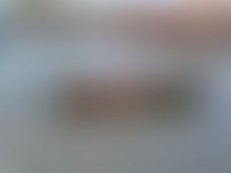 Pakistan’s marine ecosystems in crisis: urgent action needed to combat sea pollution