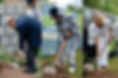 plantation.jpg