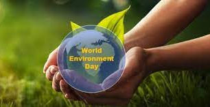 World Environment Day 2025: Pakistan at a crossroads