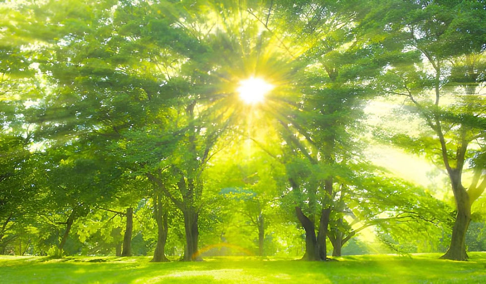 Climate action is ultimately about protecting life, restoring balance with nature, and securing a more resilient future for generations to come