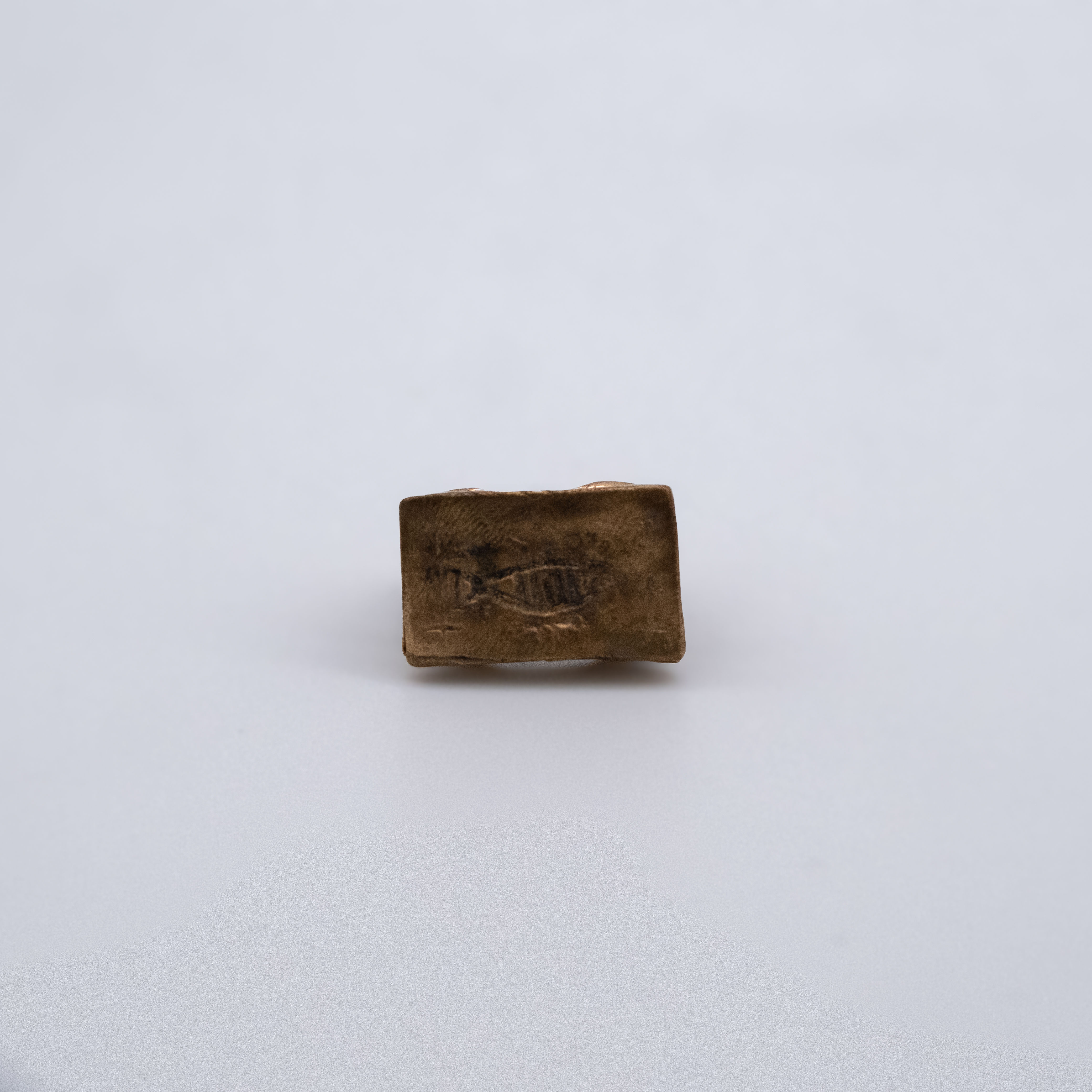 Primitive Fish Bronze Ring – Ancient Symbol Rectangular Statement Ring